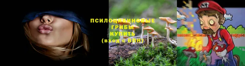 Галлюциногенные грибы Cubensis  блэк спрут маркетплейс  Верхняя Тура  сколько стоит 